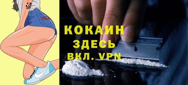 ECSTASY Горняк