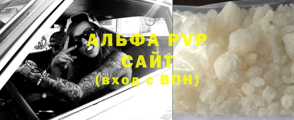 ECSTASY Горняк