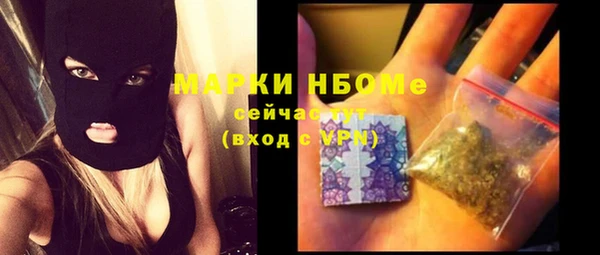 ECSTASY Горняк