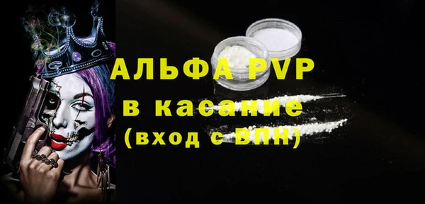ECSTASY Горняк