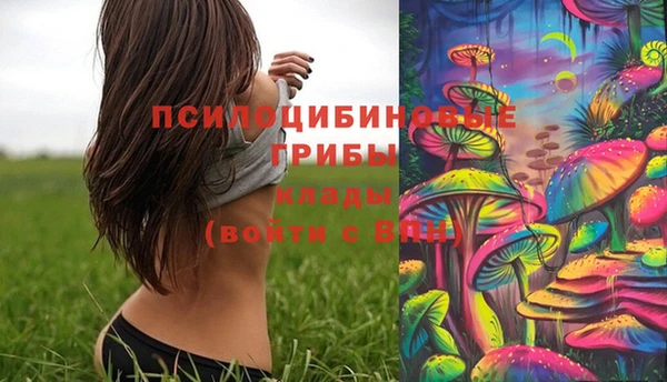 таблы Горнозаводск