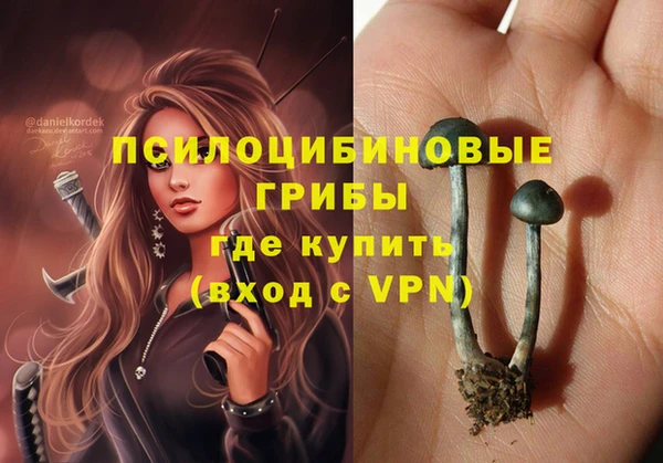 таблы Горнозаводск
