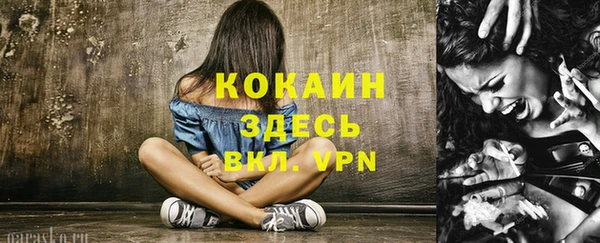 ECSTASY Горняк