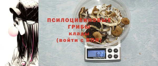 ECSTASY Горняк